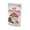 Royal Canin Ageing +12