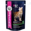 Eukanuba Cat паучи корм для кошек с говядиной в соусе, 85 г.