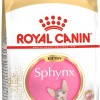 Royal Canin kitten Sphynx