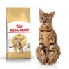 Royal Canin BENGAL