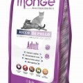 Monge Cat