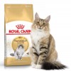 Royal Canin NORWEGIAN FOREST CAT