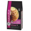 Eukanuba Cat Adult Overweight /Sterilised