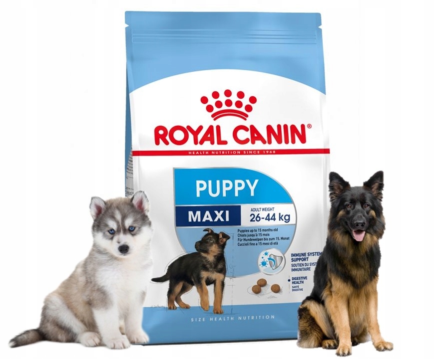 Royal canin husky clearance