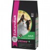 Eukanuba Cat Adult Hairball - Indoor